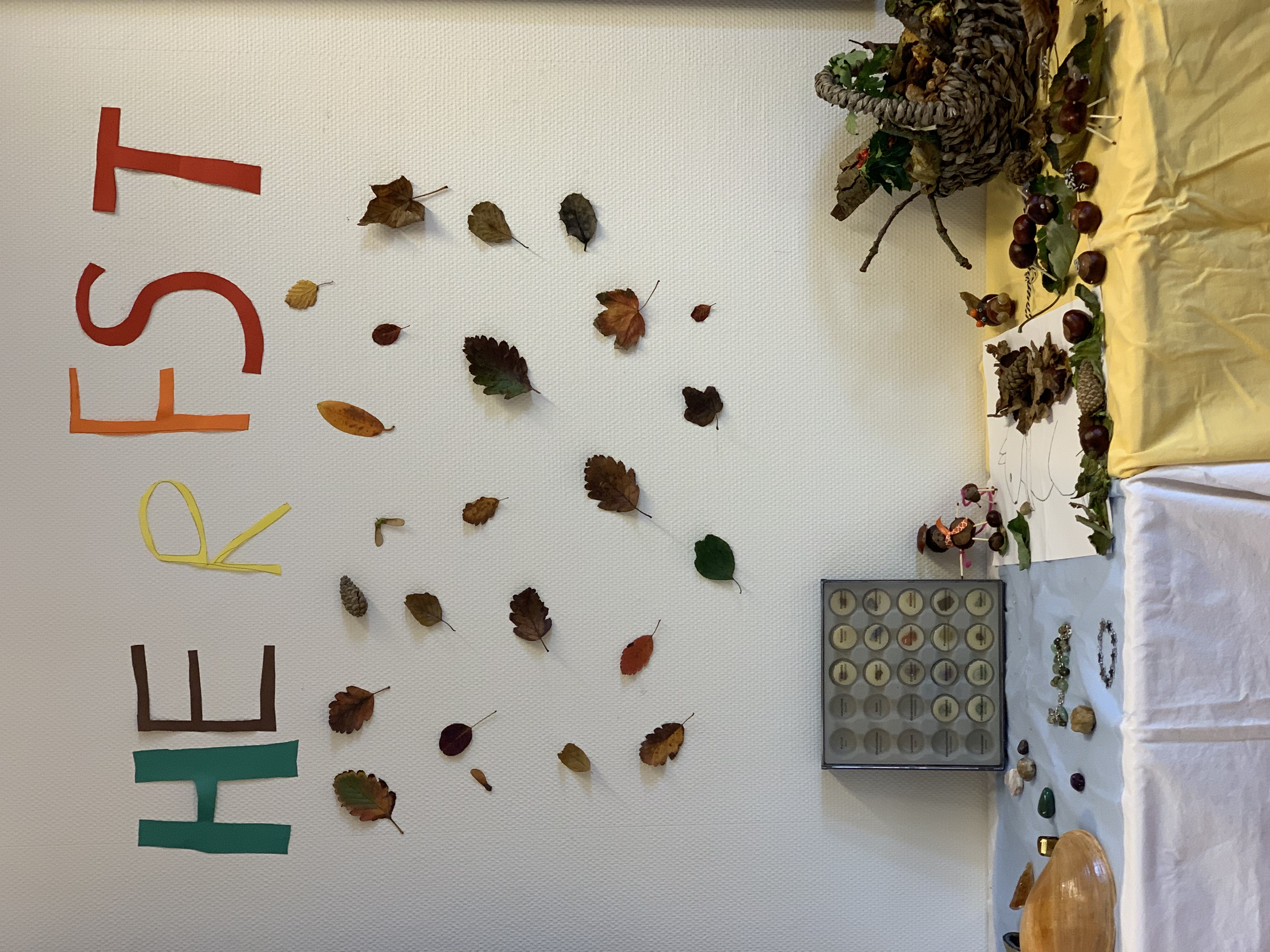 Het is herfst in groep 8A