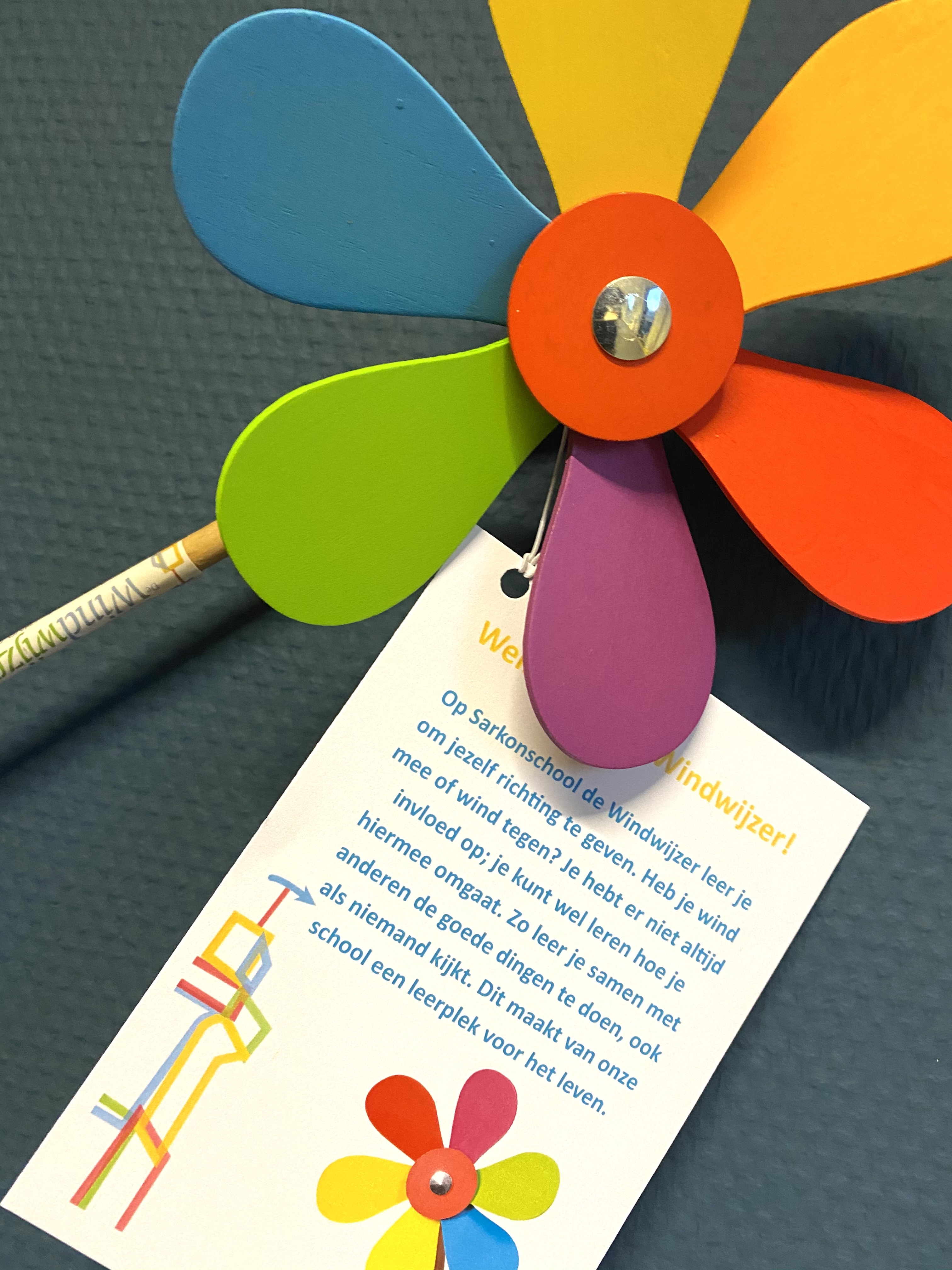 Word uw kind in 2023 vier jaar? Maak een afspraak en kom kijken! 