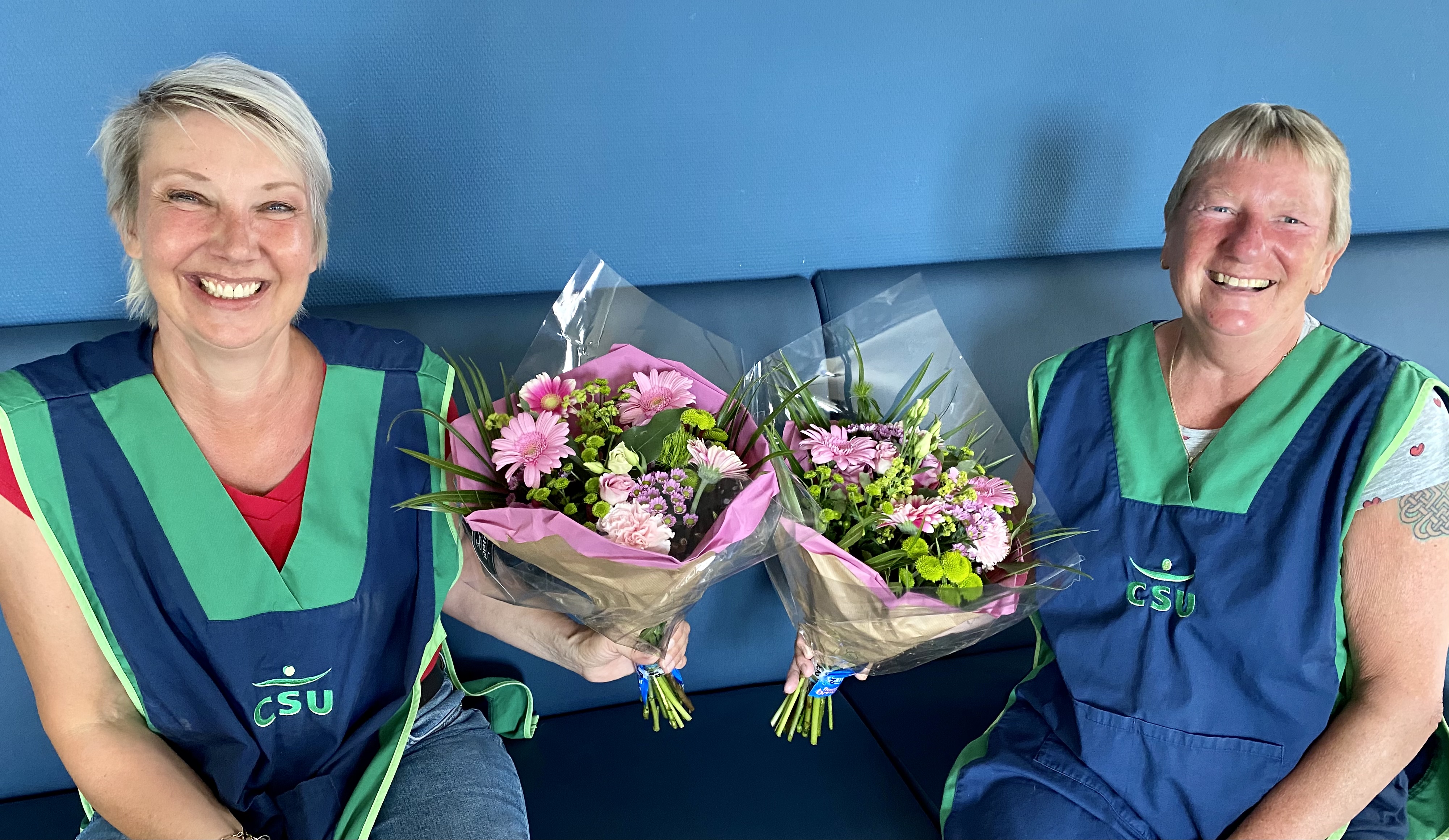 Dag van de schoonmaak