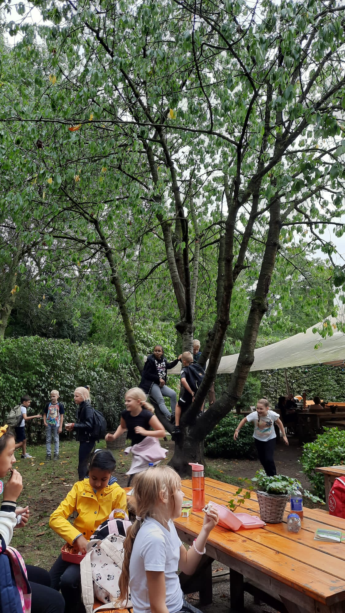 Schoolreisje bovenbouw