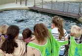 IMG_0861