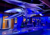 IMG_0863
