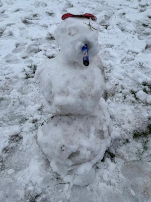 F86FE901-C825-4552-B80C-AA0F27B27556