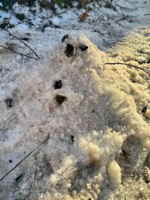 78B1AEA6-51F3-4BCA-90EF-ECDA262B7683