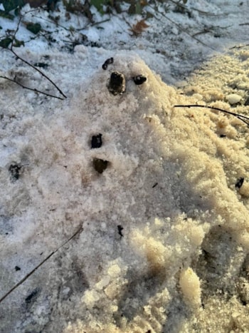 78B1AEA6-51F3-4BCA-90EF-ECDA262B7683